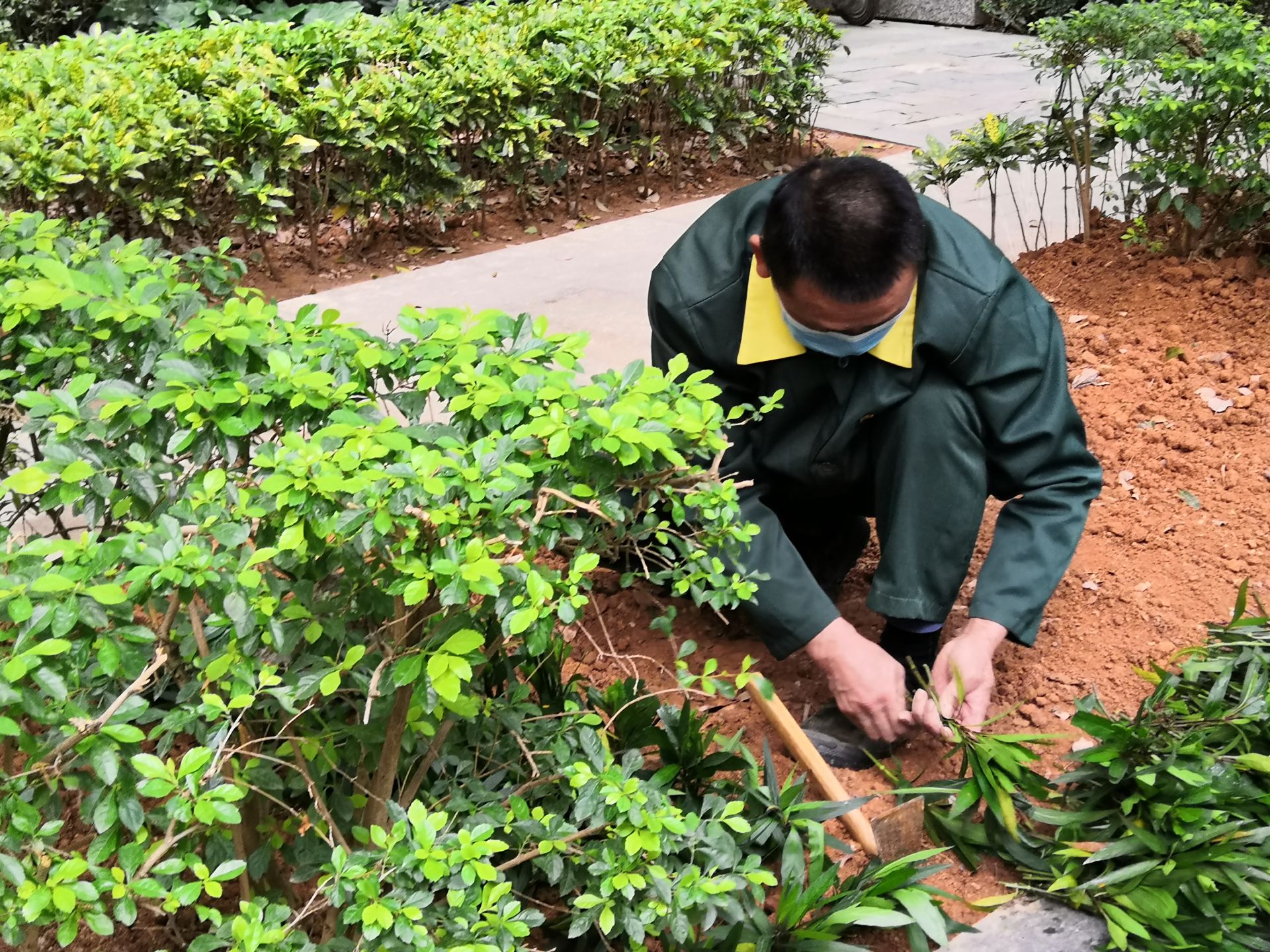 广东建立全球采购防护物资快速响应机制 首批3万套防护服和350万个口罩到位