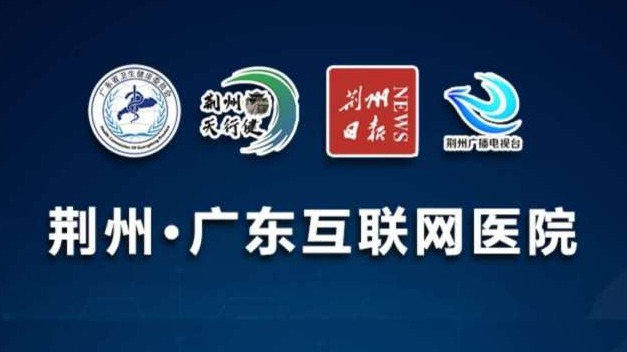 线上抗疫！广东组建网上医疗队支援荆州