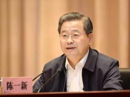 陈一新任中央指导组副组长！他与武汉各区一把手的“群聊记录”首次公开