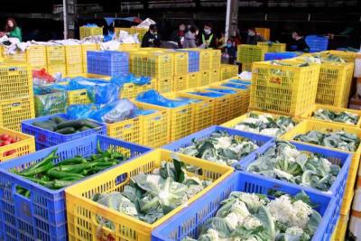云南紧急复工支援深圳，日均为深圳供应千吨蔬菜