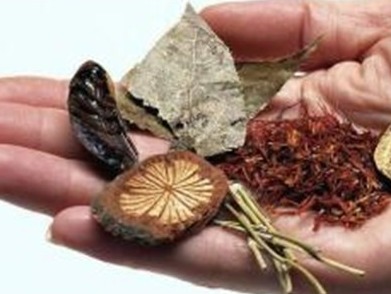 深圳将在全市评选名优中医，支持其开展中医药科研课题
