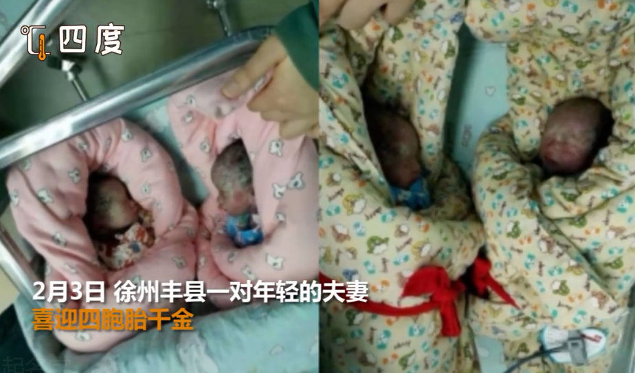 妈妈给新生四胞胎取名绽伊欣莘 合起来是“战疫新生”
