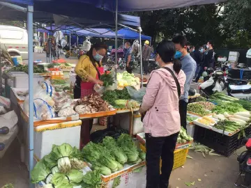 全市各级“菜篮子”复工加速 海吉星蔬菜日进货量超5000吨