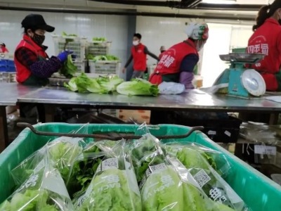 惠州四季绿30吨蔬菜驰援湖北荆州