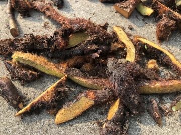 读特记者湖北直击|湖北返乡人员的春节日常