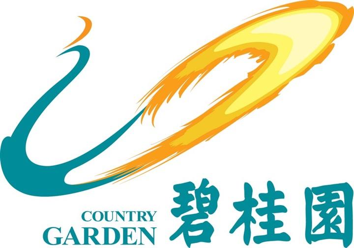 给力！碧桂园再捐1亿元设立二期抗疫基金 累计捐赠达2亿元