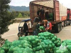 为惠州农企点赞！累计捐赠126.5吨农产品驰援湖北