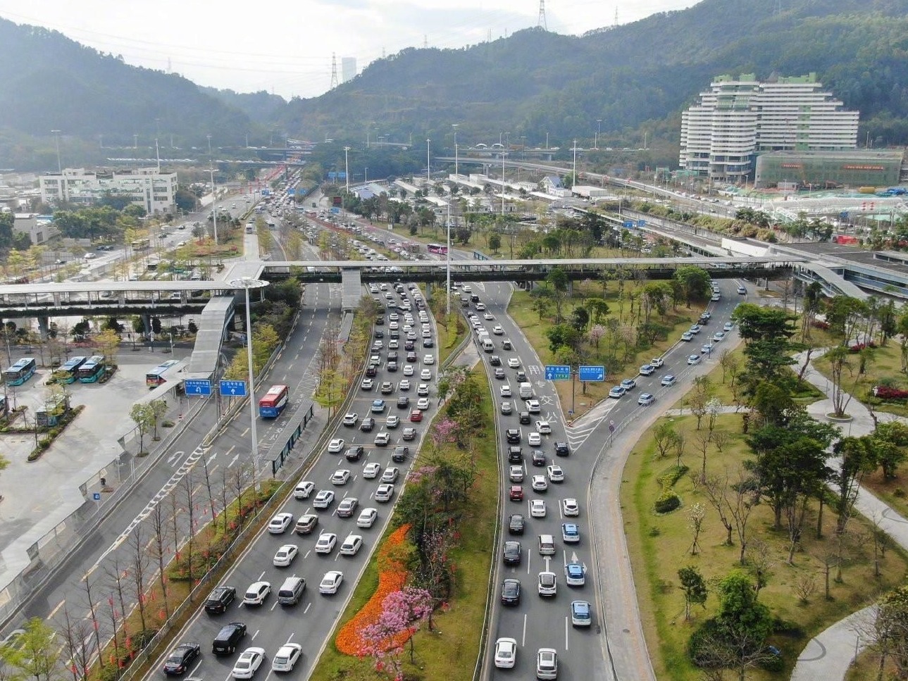春节之后深圳道路交通首现早高峰  