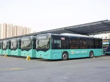 即日起深圳公共交通逐步恢复运行  