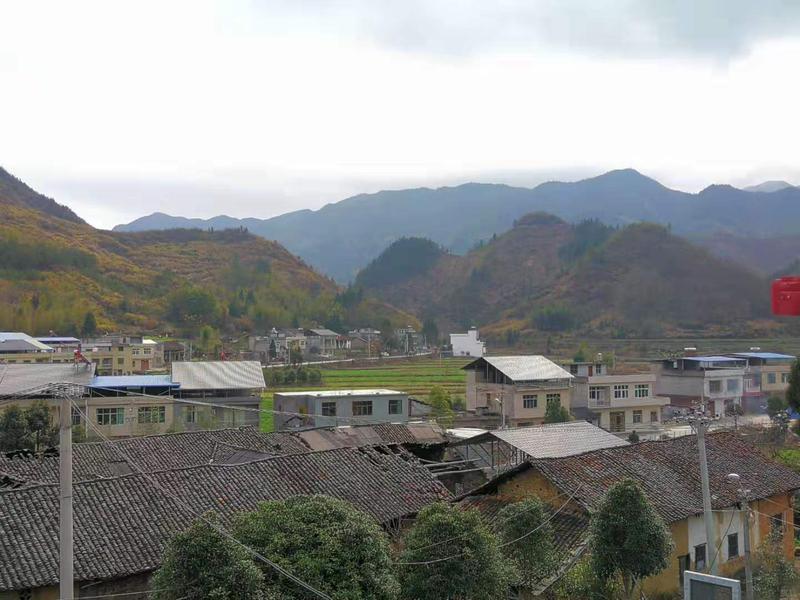 战疫日记㉑ | 一位深圳教师的异地战疫行动：捐钱买口罩，当好家长在线办公