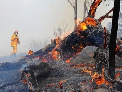 澳大利亚本轮林火大致扑灭 需防范下轮林火季
