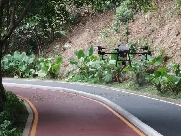 无人机助力罗湖淘金山绿道抗疫 每日进行2到3次全面消杀