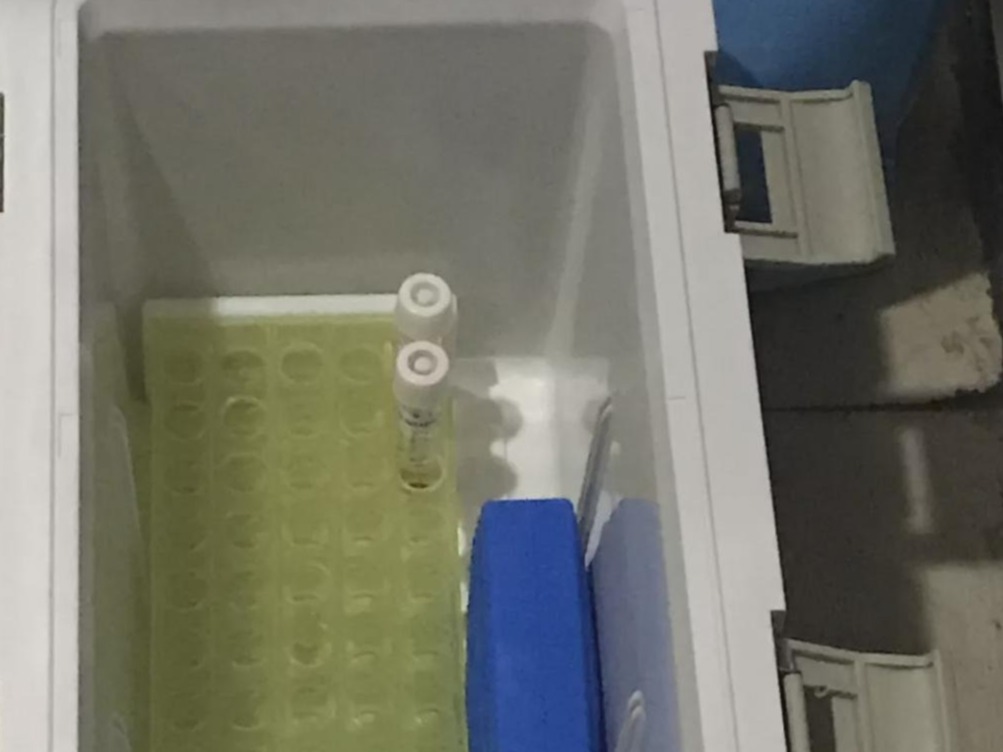 全部阴性！罗湖区对存量居家隔离医学观察人员核酸检测结果出炉