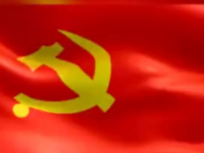 抗击疫情，践行使命！惠东公安9个临时党支部建在一线卡点