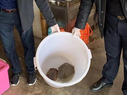 惠东查处2宗野生动物违规交易案件