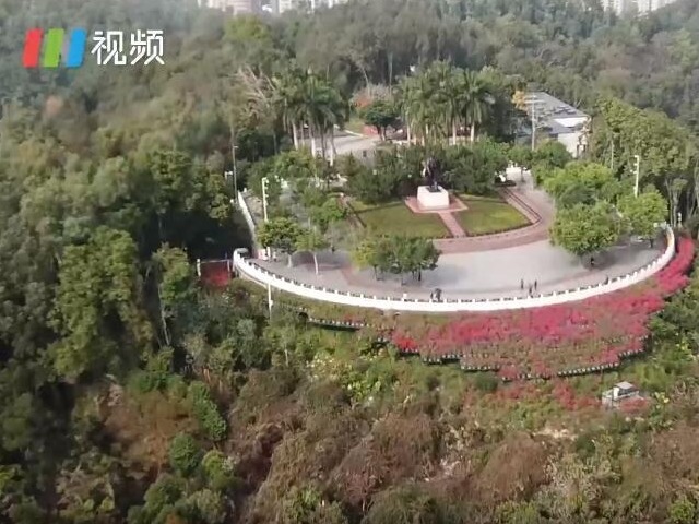 IN视频 | 送给你，这是阳光灿烂的深圳春天