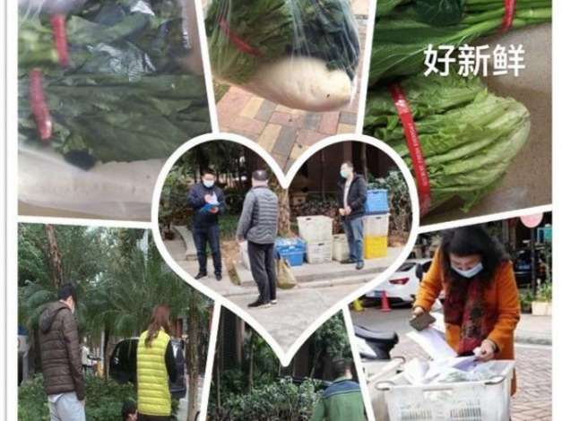 捐赠大米10吨，派送200份蔬菜！爱心米菜助力平湖抗疫攻坚