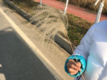 直击湖北 | 归来仍是少年——一位深圳小学生滞留湖北防疫抗疫实录        