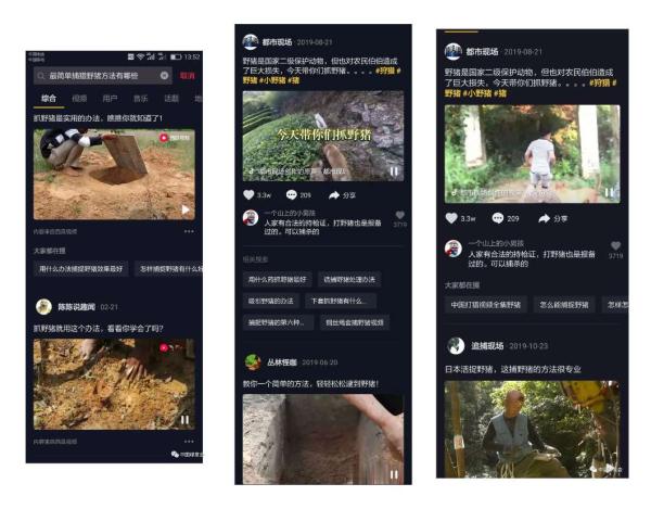 中国绿发会：全国禁野，强化网络猎捕工具监管尤为重要