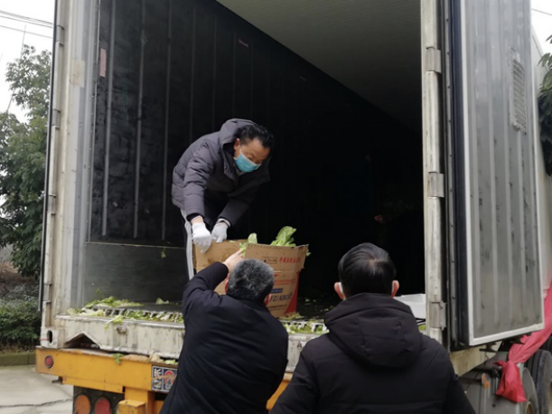 读特记者直击湖北 | 元宵节，我们收到了1500公里外送来的“爱心白菜”