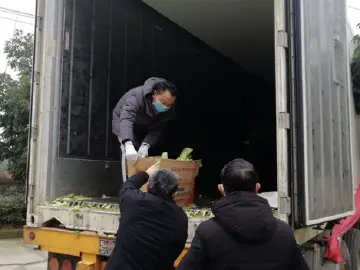 读特记者直击湖北 | 元宵节，我们收到了1500公里外送来的“爱心白菜”