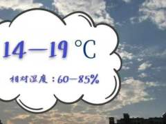 广州重启湿冷模式 即将返岗的你，这些防护建议需要了解