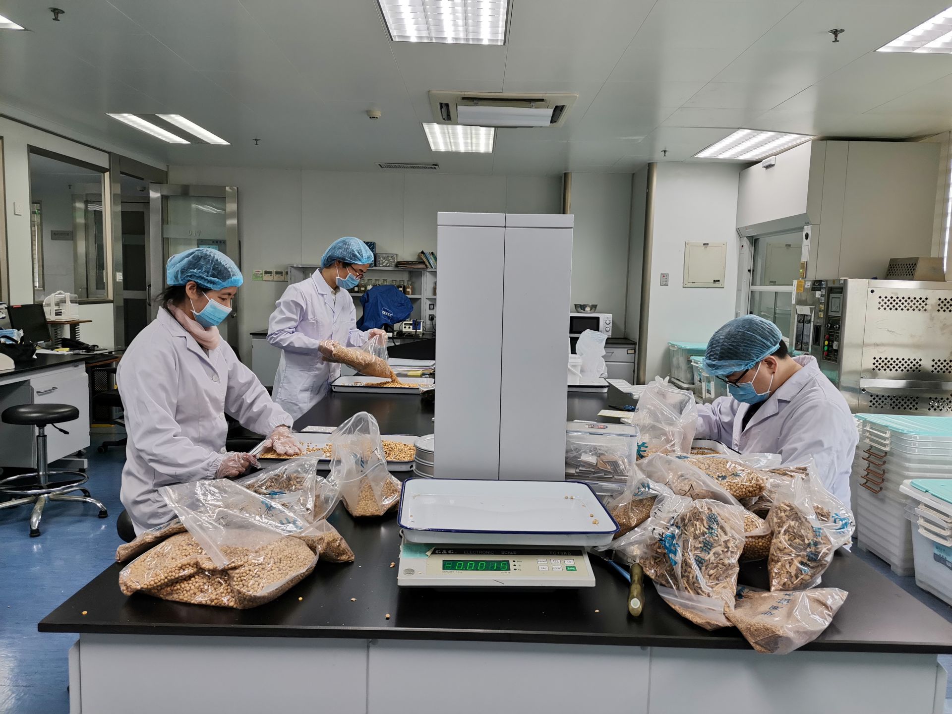 大豆北方茎溃疡病菌！深圳海关连续截获检疫性有害生物