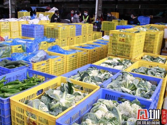 保障蔬菜供应充足、价格稳定！云南省助力深圳打赢蔬菜保供稳价战