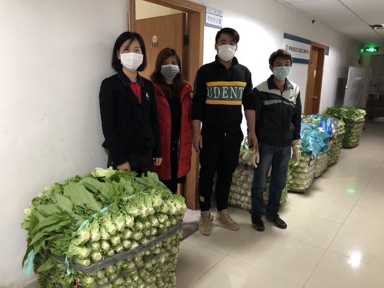 你们战疫我送菜，爱心市民向坪地捐赠1000斤蔬菜