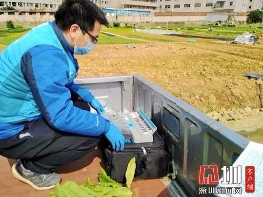 菜场数千斤蔬菜滞销 龙岗这个社区购买800斤免费送隔离居民、复工企业