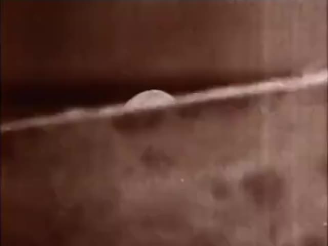时常觉得自己是一个人在fighting？来看看高倍显微镜下你的皮肤表面