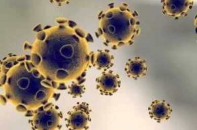 世卫组织：全球新冠肺炎确诊病例达209839例