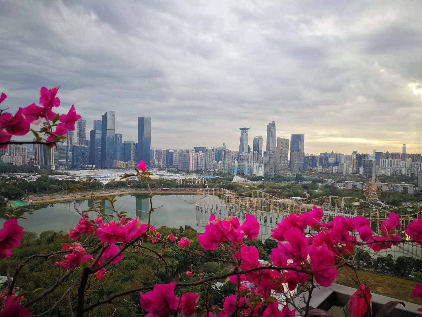 这四类地名要退出！深圳规定地图使用标准地名
