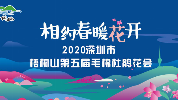 发布会倒计时｜整个梧桐山的毛棉杜鹃花海即将C位出道！