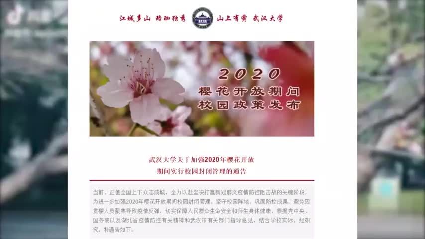 武大开放10天云赏樱花