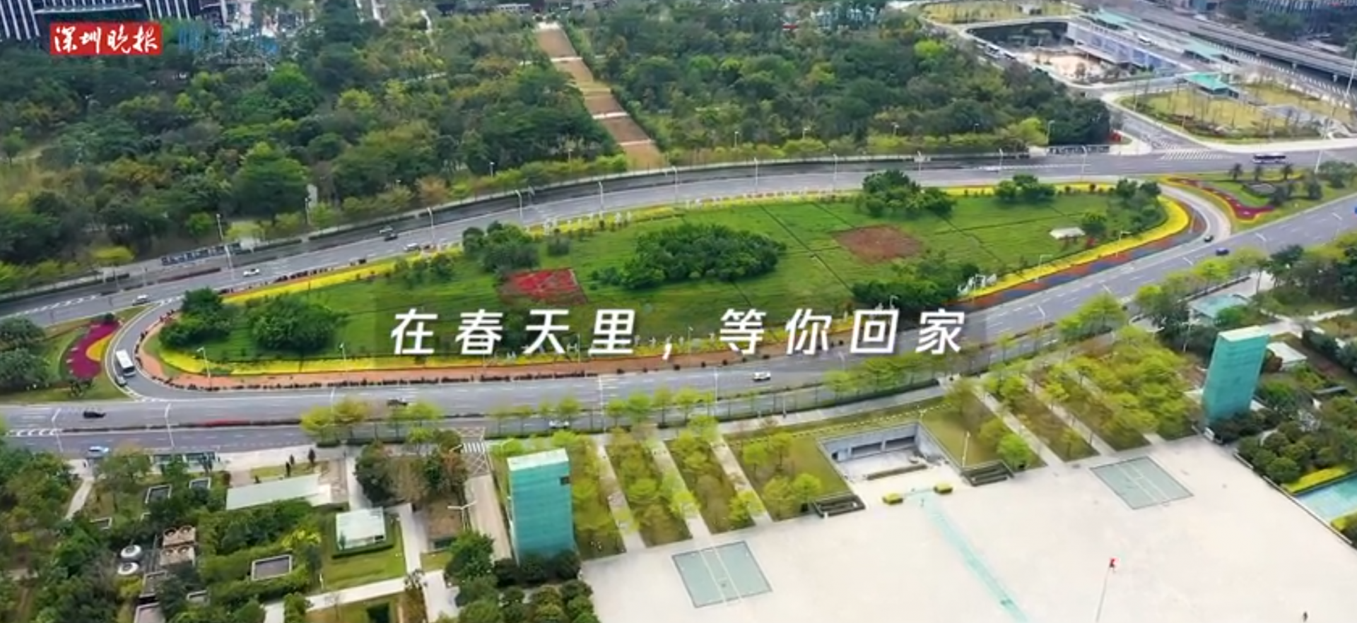深晚视频 | 我在春暖花开的深圳，等你回家