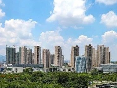 坪山区领导为支持新冠肺炎疫情防控工作捐款  