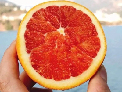 24小时，卖了3吨橙子！深圳是一座有爱的城市！