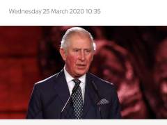 英国查尔斯王子新冠肺炎检测呈阳性