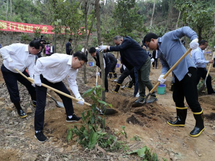 深圳一年95万人次义务植树！8大类50多种方式可选，你种了吗？