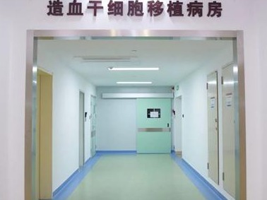白血病患者重获新生，中山七院完成两例造血干细胞移植