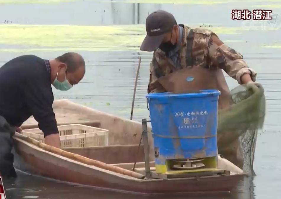 复工复产进行时·湖北生产生活恢复中