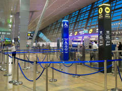 以色列确诊增至50例，航空公司取消所有国际航班