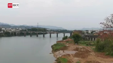 高二生物：植物组织培养——张惠丽