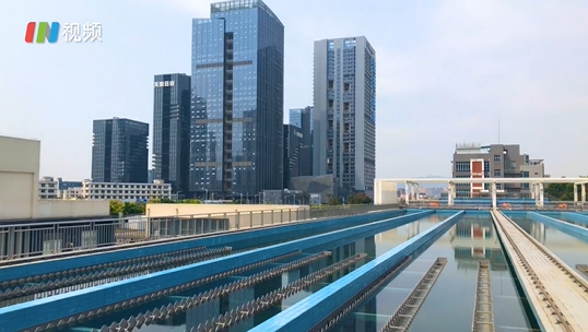 IN视频|探秘水库水厂：疫情下自来水是怎么炼成的