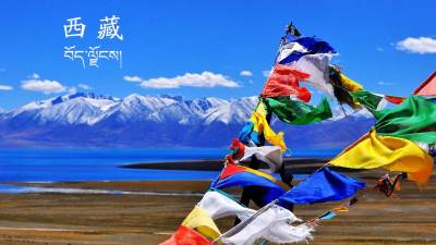 省对口支援西藏新疆工作领导小组召开会议