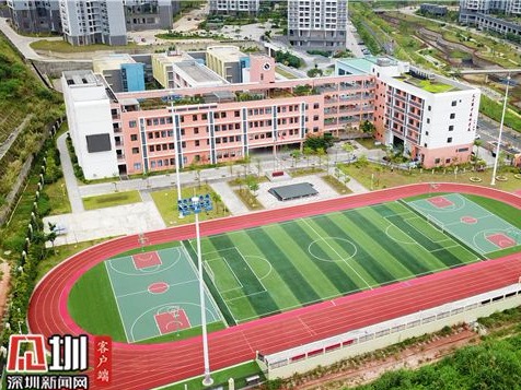 新增公办园学位超1000个！大鹏新区2020年民生实事来了
