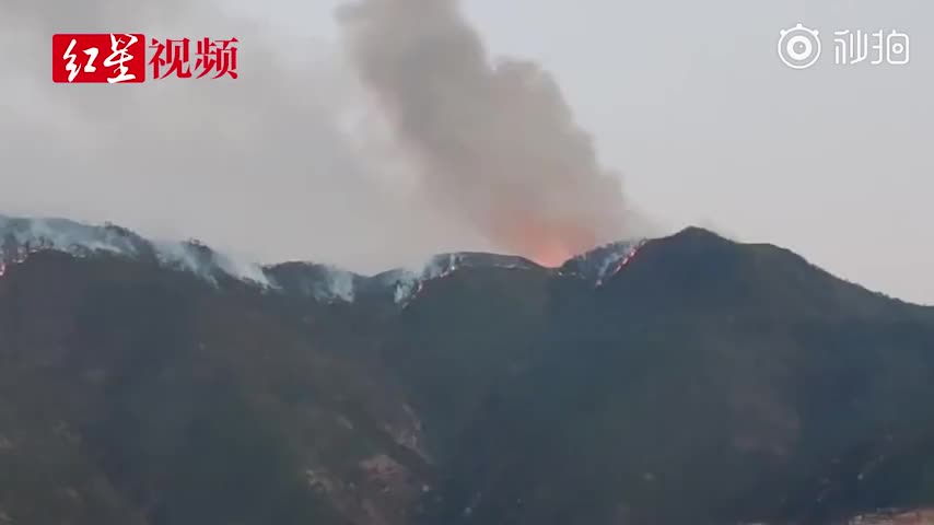 四川凉山木里县发生森林火灾，灭火仍在有序开展