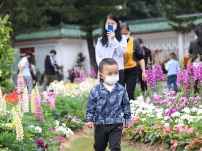 深圳仙湖植物园3月24日恢复开园，对全国医务工作者免费开放一年