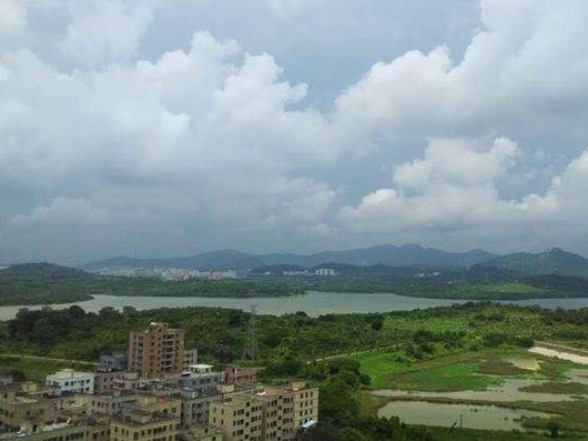 石岩街道党工委书记魏剑彬：日夜兼程直面疫情防控“三大关”